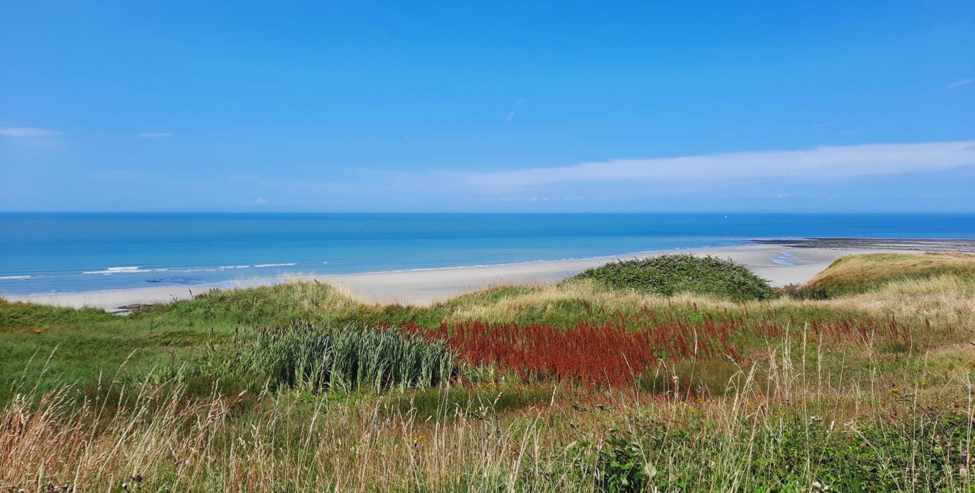 Le 246 - Duplex Face A La Mer Pour 4 Personnes, Wifi, Tv Full Sat, Parking Wimereux Exterior foto